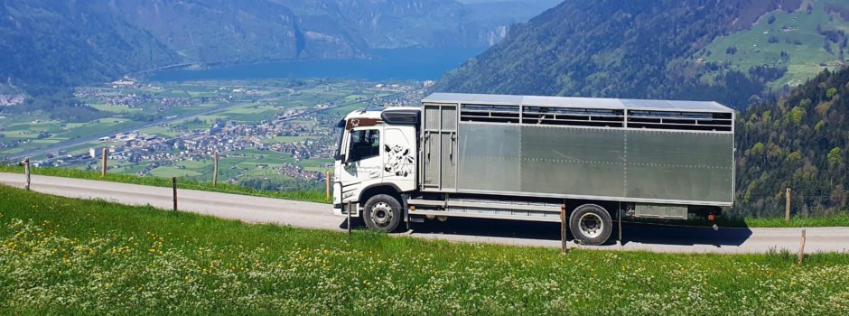 Camions3.jpg