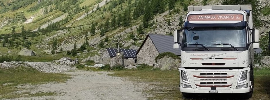 Camions5.jpg